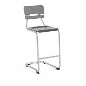 Školská stolička LEGERE I, V 650 mm, strieborná, antracit
