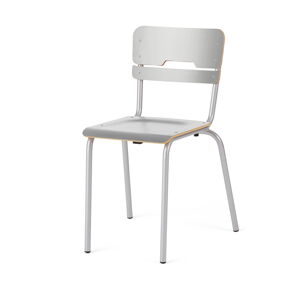 Školská stolička SCIENTIA, nízke sedadlo, V 460 mm, strieborná/šedá
